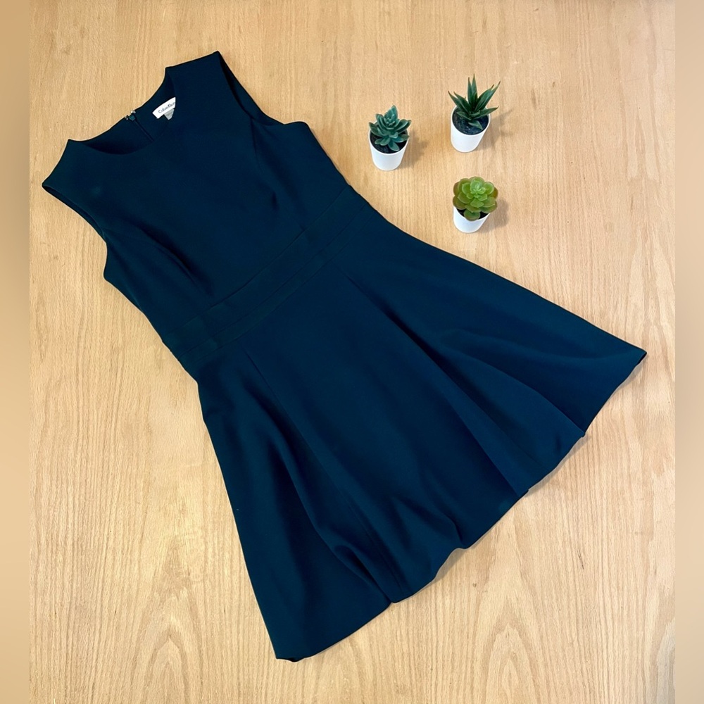 Calvin Klein Fit and Flare Dress